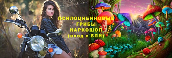 a pvp Алексин